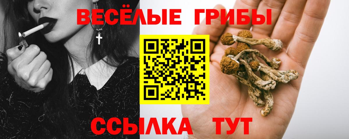 Трёхгорный  Псилоцибиновые грибы Psilocybine cubensis  Вход с VPN 
